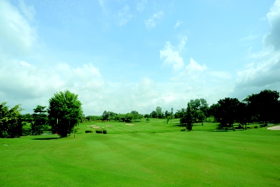 グリーンウッド　ゴルフクラブ(GREEN WOOD  Golf Club)